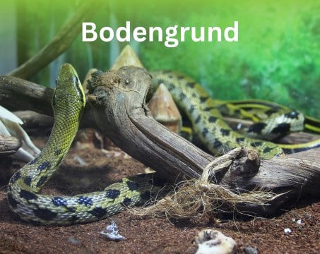 Bodengrund