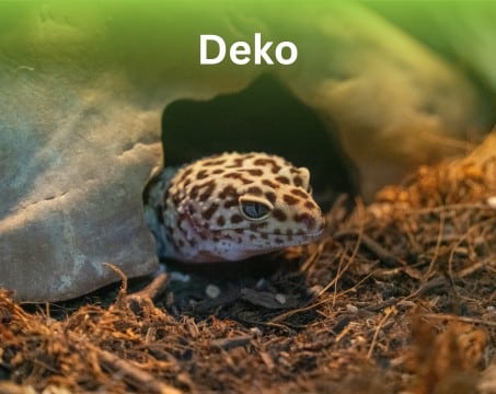 Deko